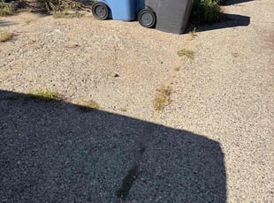 Rolyc W.'s grass cutting service result