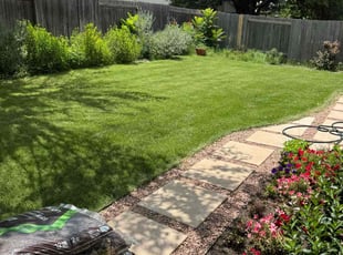 Paul A.'s lawn service service result