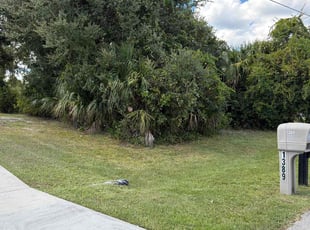 Milton B.'s lawn care service result