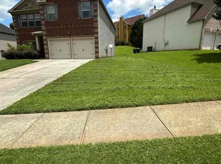 Mithona K.'s lawn service service result