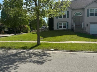 Florence D.'s lawn care service result