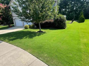 Darnell B.'s lawn care services service result