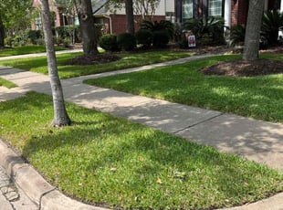 Rocky B.'s lawn care service result