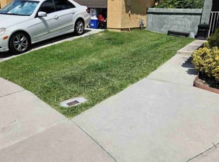 Kristina M.'s grass maintenance service result