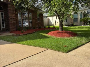Dexter G.'s lawn service service result