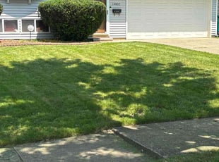 Jared M.'s turf maintenance service result
