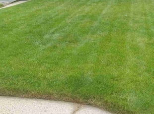 Joanne B.'s lawn service service result