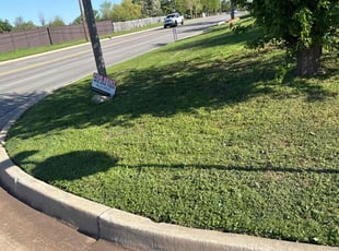 Carl B.'s lawn maintenance service result