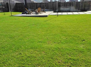 Greg P.'s lawn service service result