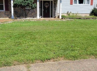 MonaLisa A.'s turf maintenance service result