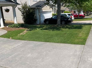 Joseph K.'s grass maintenance service result