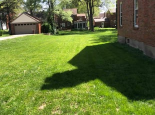 Michael D.'s grass cutting service result