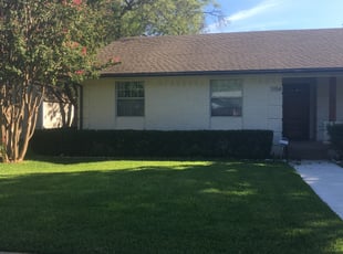 Shellise C.'s Bush Trimming service result