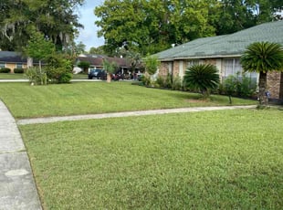 Ruel D.'s lawn maintenance service result
