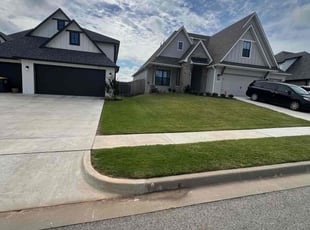 Andre S.'s lawn care service result