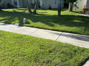Debby L.'s yard maintenance service result