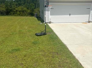 Tonyel J.'s turf maintenance service result