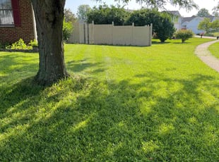 Jane L.'s lawn maintenance service result
