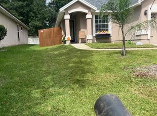 Joey M.'s grass maintenance service result