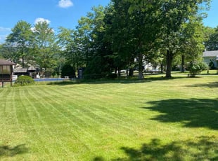 Lauren M.'s lawn maintenance service result