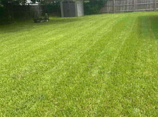 Lana M.'s lawn care services service result