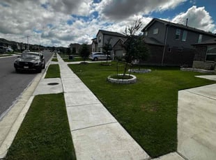 Shannon P.'s grass cutting service result