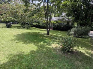 Kimberly M.'s lawn care service result