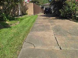 Tammy A.'s grass cutting service result