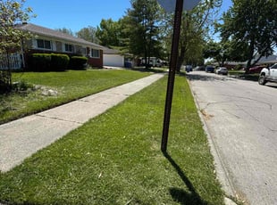 Linah R.'s lawn care services service result