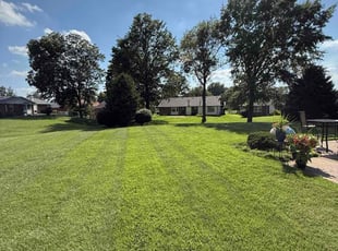 Diane A.'s turf care service result