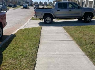 Kathrine H.'s lawn service service result