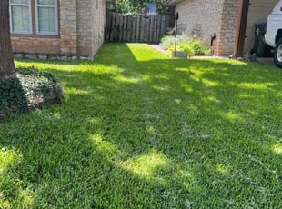 Dominic F.'s grass cutting service result