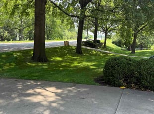 John N.'s lawn maintenance service result