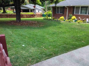 Daijah R.'s turf care service result