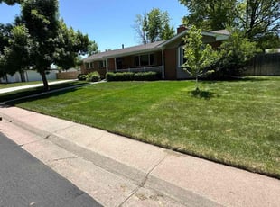 Mary D.'s lawn service service result