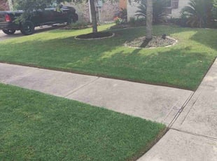 Holden F.'s turf maintenance service result