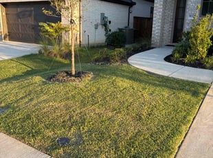 Mark Y.'s grass cutting service result