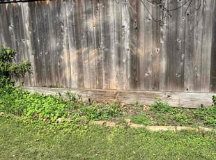 Catherine S.'s Bush Trimming service result