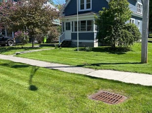 Sarah H.'s grass cutting service result