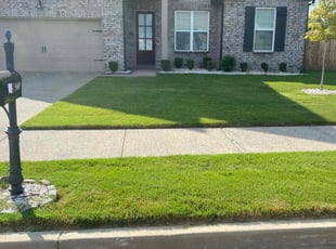 Mark H.'s residential landscaping service result