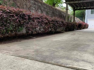 Jeremy C.'s Leaf Removal service result