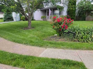 Brandie H.'s grass maintenance service result