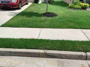 Nicholas C.'s lawn care services service result