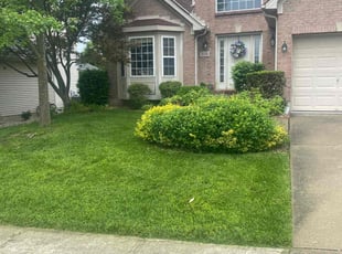 Rami A.'s lawn care services service result