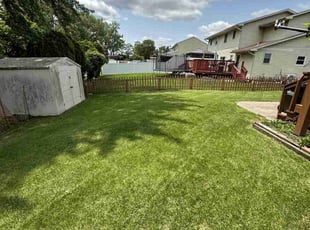 Mike S.'s lawn care service result