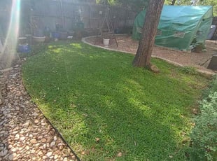 Hiram V.'s grass cutting service result