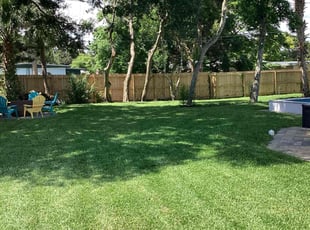 Charlee L.'s lawn service service result