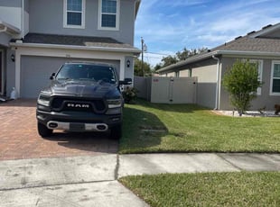 Michele G.'s grass maintenance service result