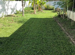 Malcolm S.'s turf care service result