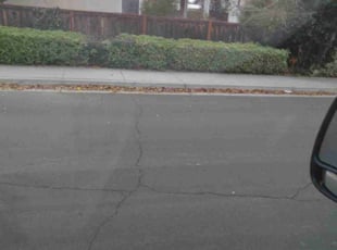 Bradley N.'s Bush Trimming service result